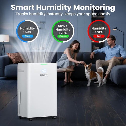 Pint dehumidifier for - 80,
