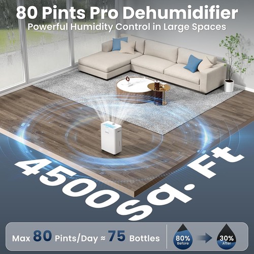 Compressor dehumidifier - dehumidifier, 80